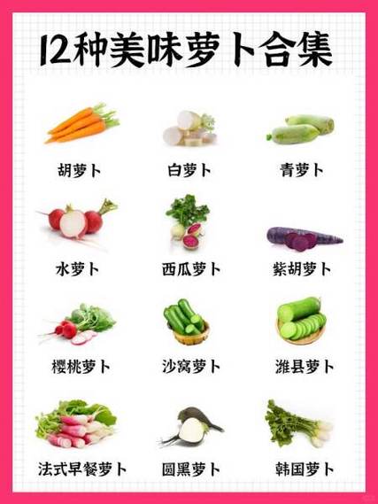 萝卜种类
