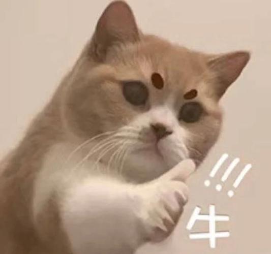 赞的图片 表情包缩略图