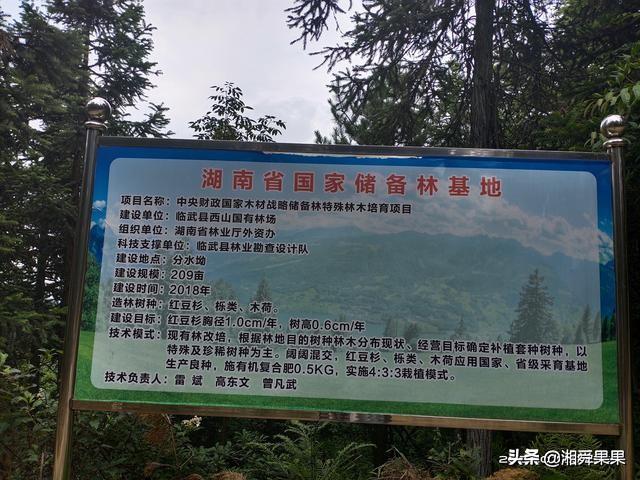 西瑶名字的含义是什么意思