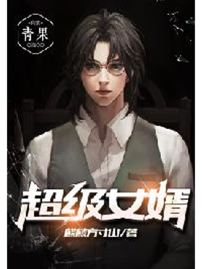 超级女婿电子书缩略图