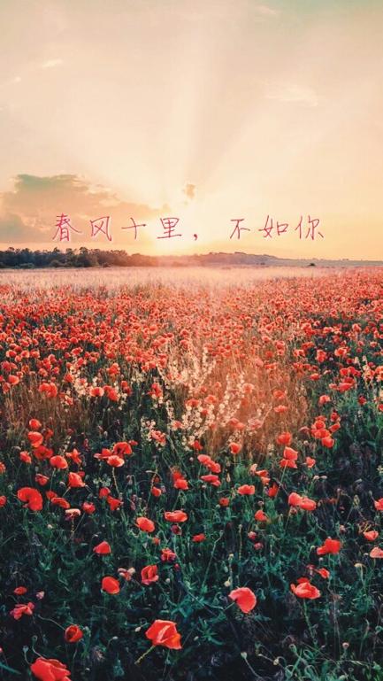 春风十里唯美句子