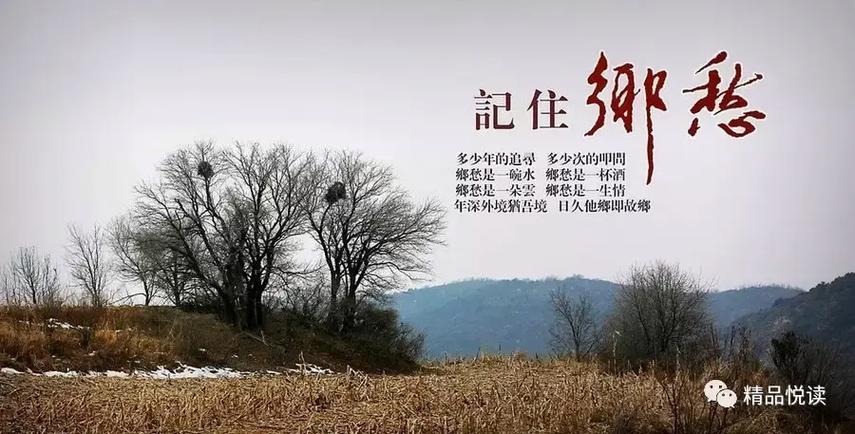 乡村最治愈心灵的文案缩略图
