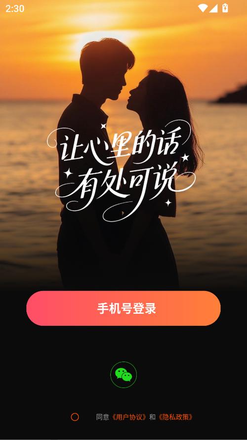 探秘语聊交友图标