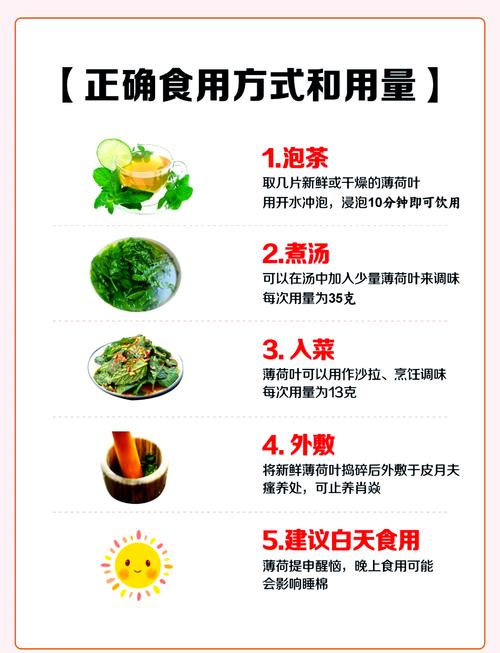 荒野求生薄荷怎么获得