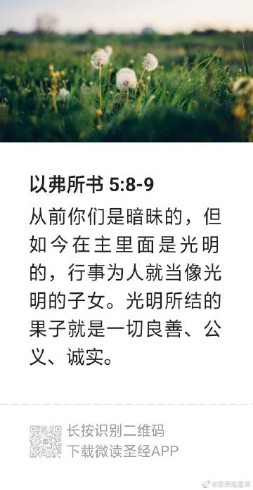 讲道讲章 讲章精选集图标