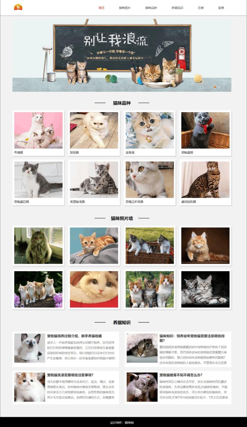 猫咪网页版是多少