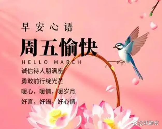 TSCD交友软件缩略图