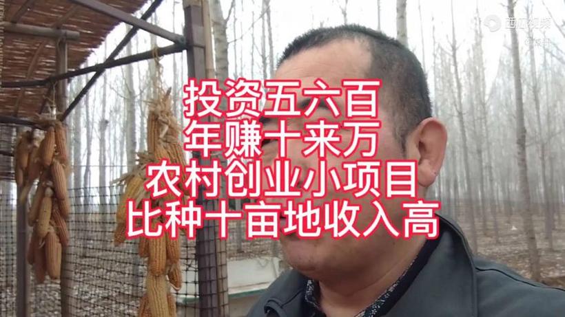 适合投资小的创业项目