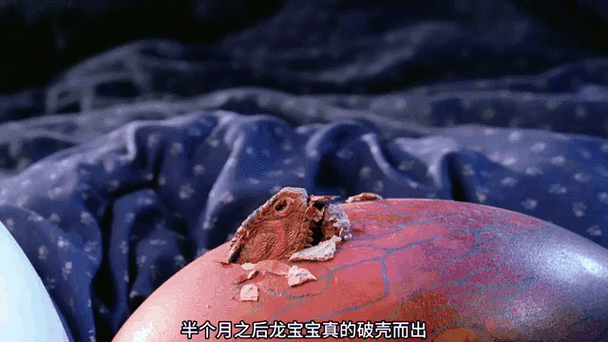 孵化龙蛋指令图标