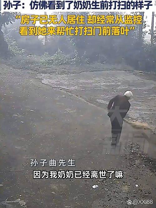 你好邻居无邻居模式