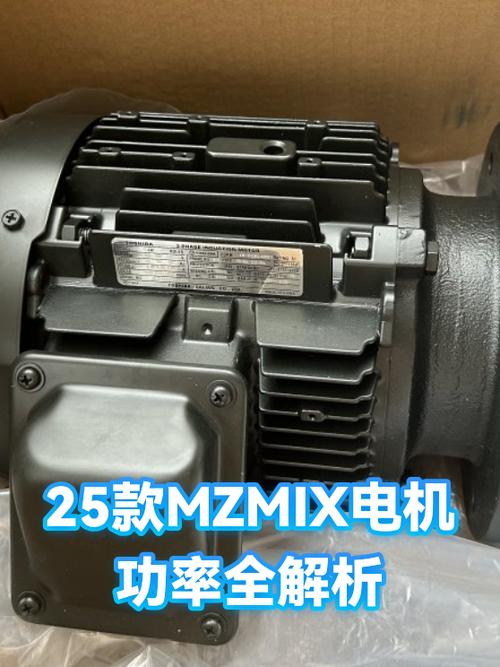 mzmix电机实际多少w截图