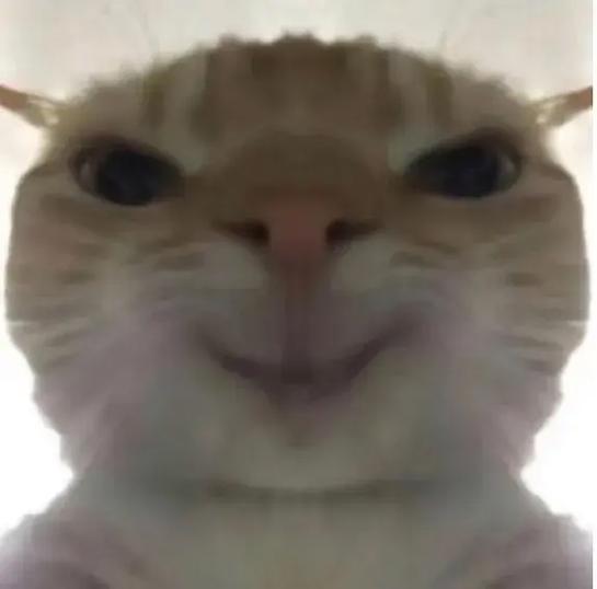 猫头表情暗示什么图标