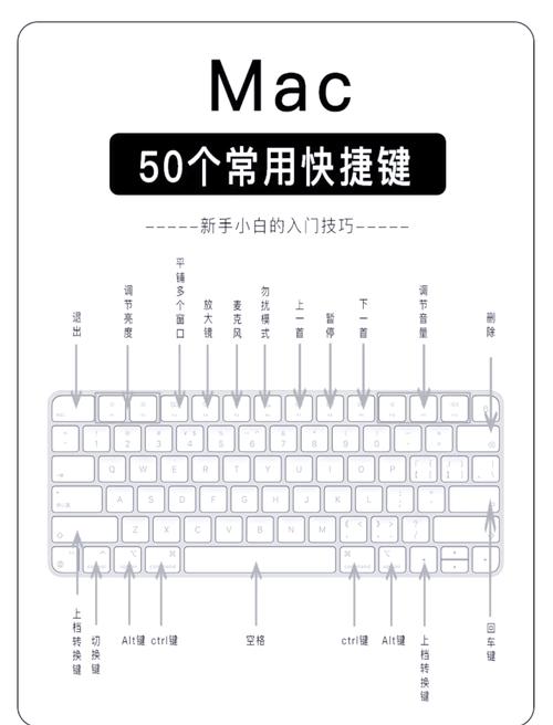 苹果回车换行的快捷键缩略图