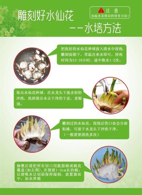 水仙花种植管理过程截图