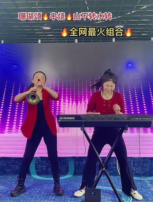 唢呐电子琴DJ老歌大串烧缩略图