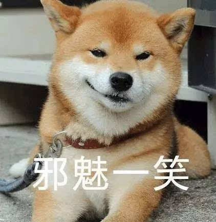 狗笑的图片表情包游戏截图