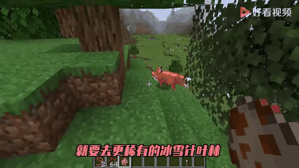 白狐移植1000款游戏大全图标