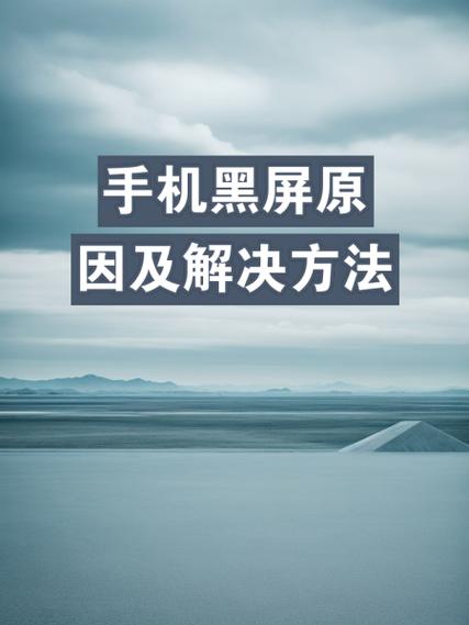 手机屏幕黑了是怎么回事截图