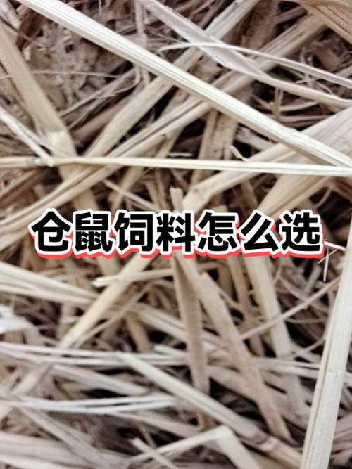 仓鼠吃合成粮好吗截图