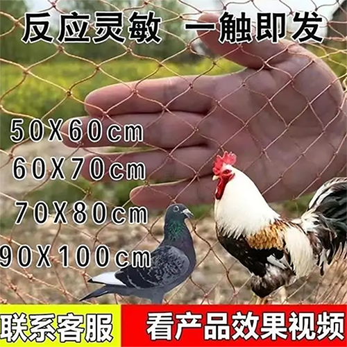 自动抓鸽子神器截图