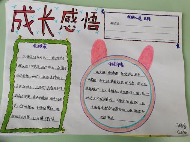 学校生活感悟缩略图