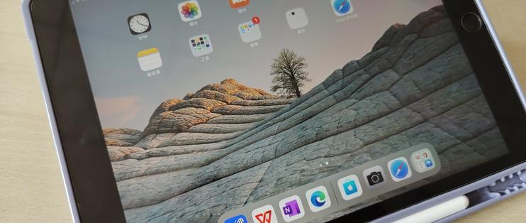 苹果平板ipad灰屏了缩略图