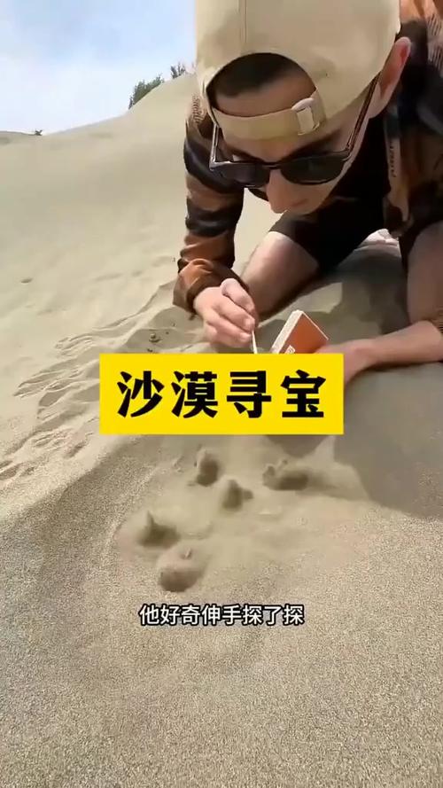 我的世界找到沙漠指令图标