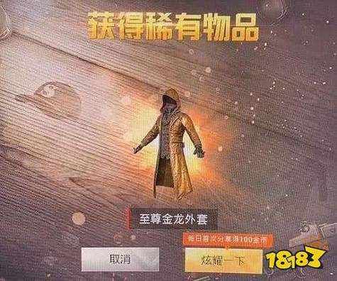 和平精英美化至尊金龙风衣