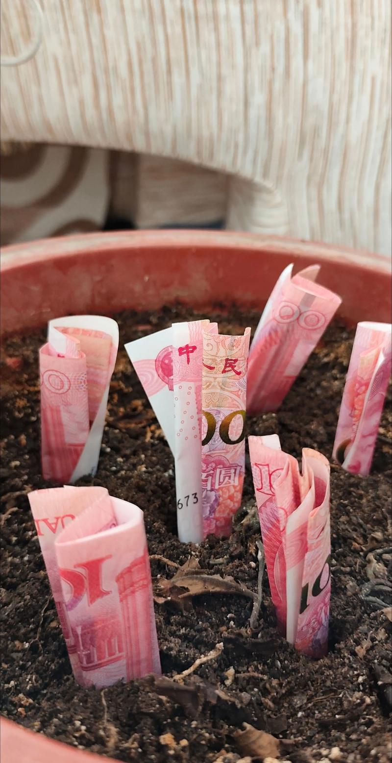趣味种树赚钱现金