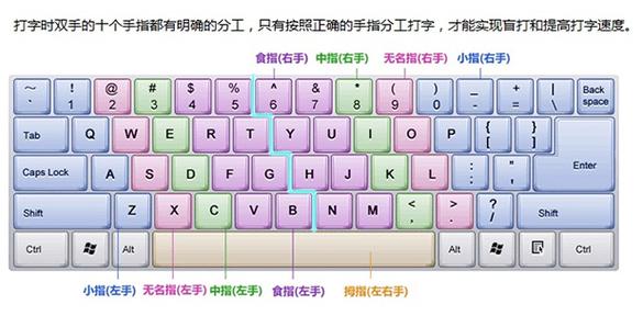 金山打字通电脑版软件介绍