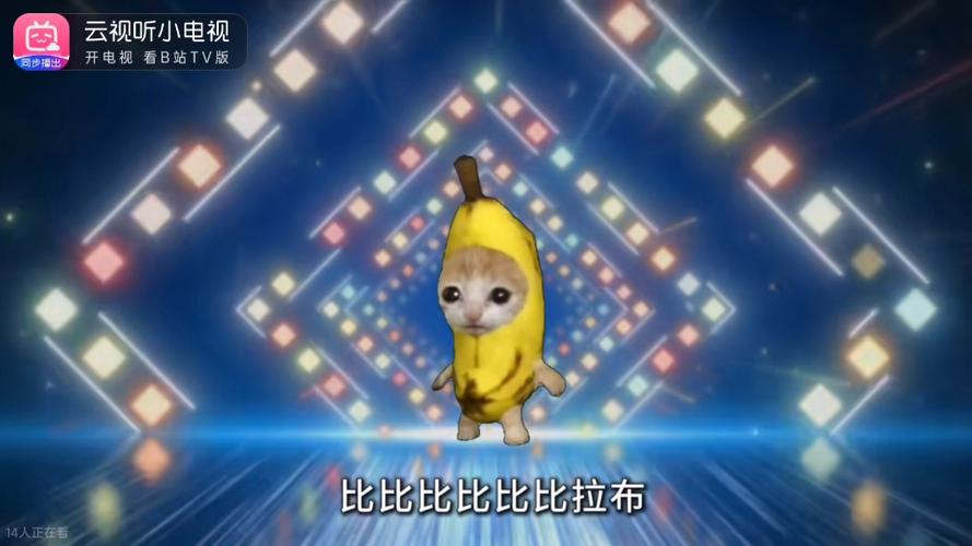 比比拉布我的刀盾是什么意思截图