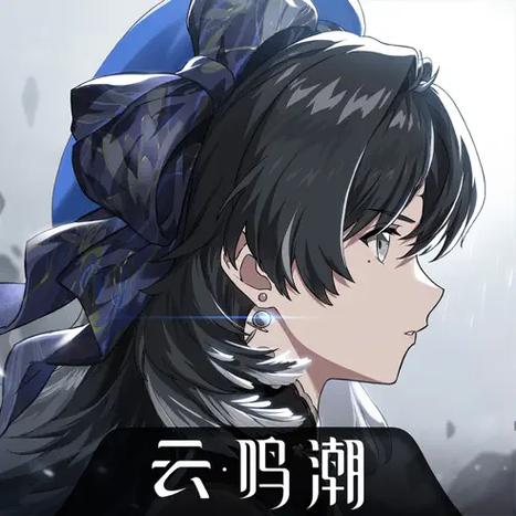 云鸣潮官方网站