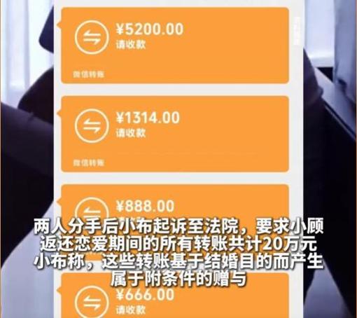 恋爱期间的转账能起诉要回来吗游戏截图