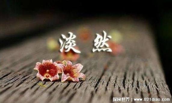 把人性看淡的经典句子游戏截图