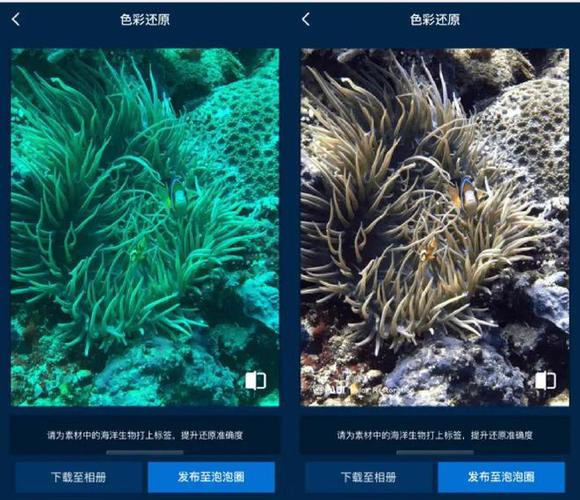 打印机打印出来的照片是红色的图标