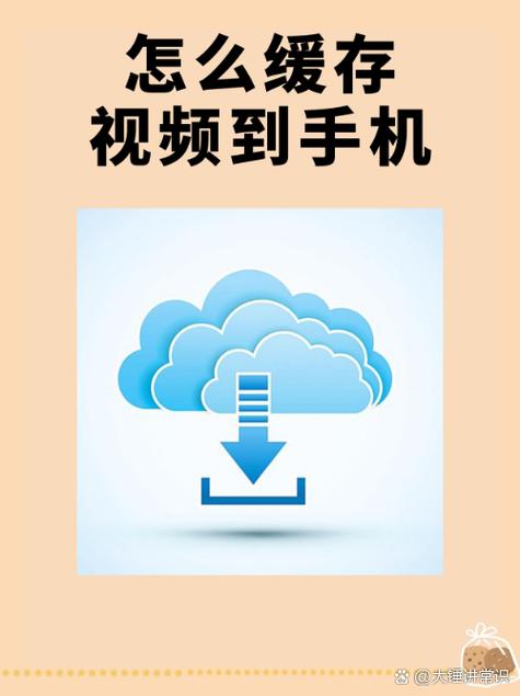 苹果视频缓存到哪了