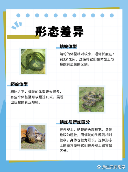 蟒蛇下载还能用吗