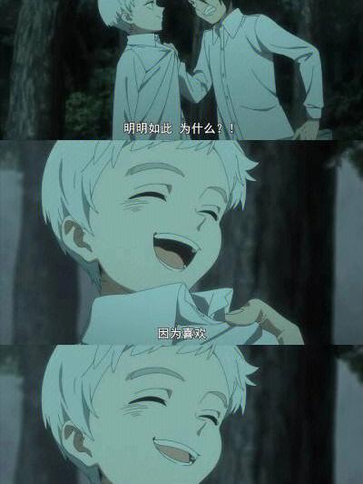 梦幻岛剧情深度解析缩略图