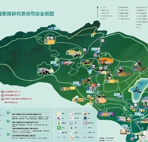 成都熊猫谷和熊猫基地区别游戏截图