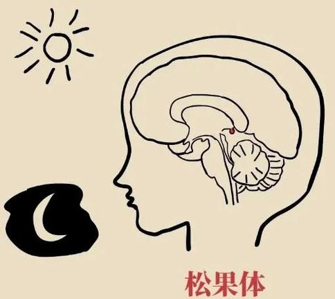小天才破解睡觉禁用模式截图