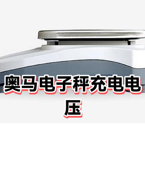 电子秤多久充满电