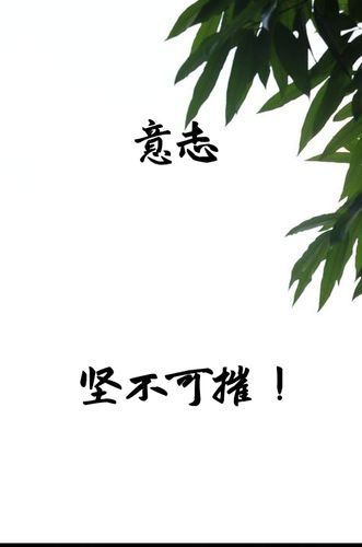 手机狠狠的摔在地上,会坏吗截图