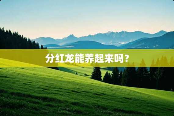 养恐龙分红图标