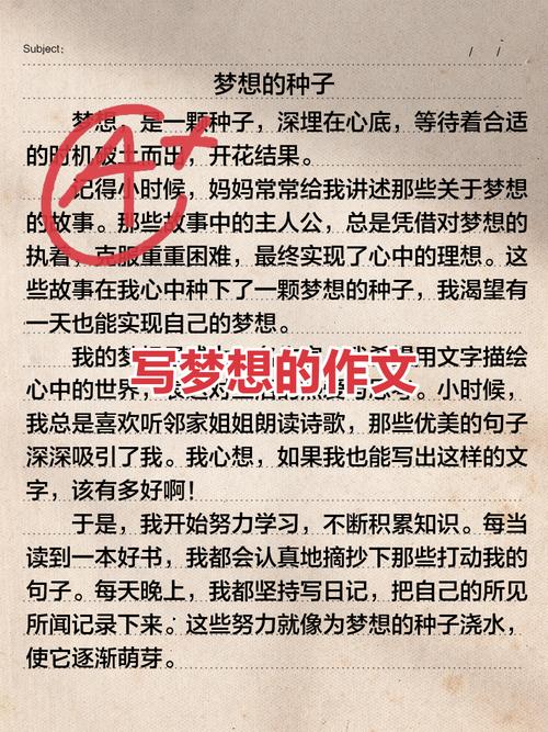 我终于圆了一个梦700字截图