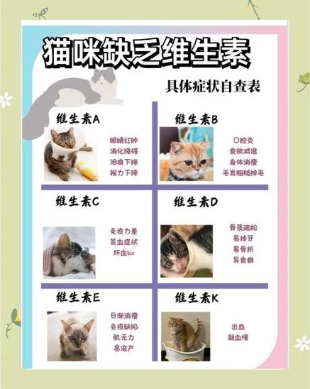 养猫卖崽能挣钱么截图