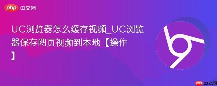 UC浏览器缓存的视频缩略图