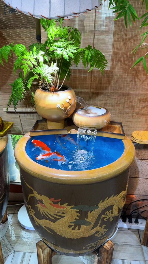 老式水缸养鱼正确方法