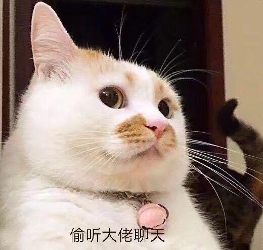 和大佬聊天需要注意什么截图