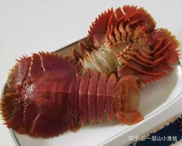 皮皮虾去升级版去广告下载图标