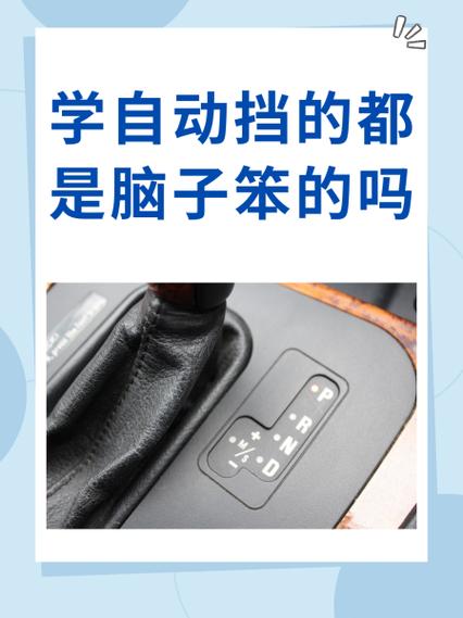 自动挡笨的人学多久截图